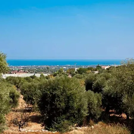 Villa Mandorleto *